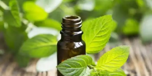 تصویر 1 از قیمت عرق گیاهی نعناع + خرید باور نکردنی